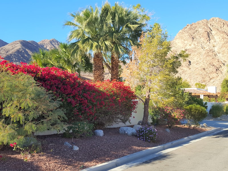 Spring cleanup and native plant bed refresh at a Clarkdale property